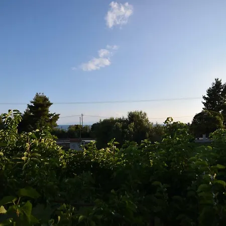 度假居 The Olive House 2 *